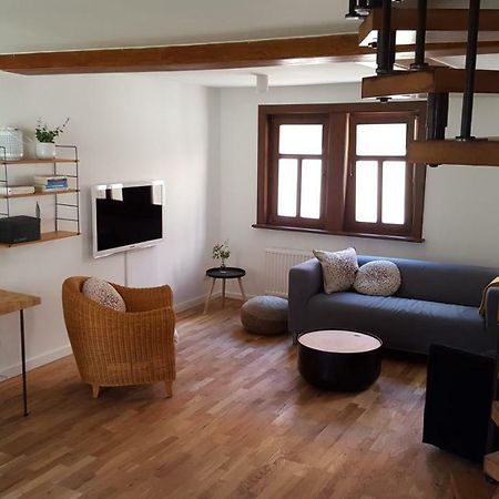 Haus Zum Wilden Manne Villa Ерфурт Екстериор снимка